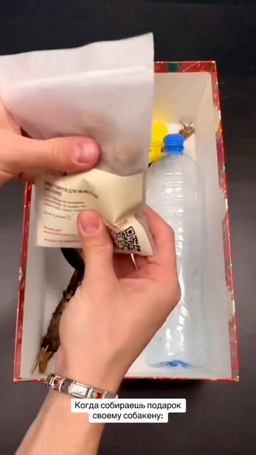 подарок собаке