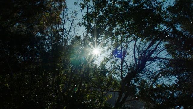 JUNE 2024 ENERGY UPDATE (Summer Solstice and Inner Light)