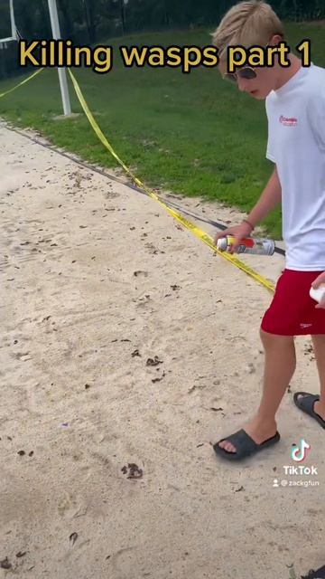 Killing wasps as Lifeguard part one #fyp #shorts #viral #funny #wasp #wasps #pool #lifeguard#howto
