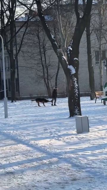 Собачка не кусает, а просто держит. Ситуация в парке "Строитель"