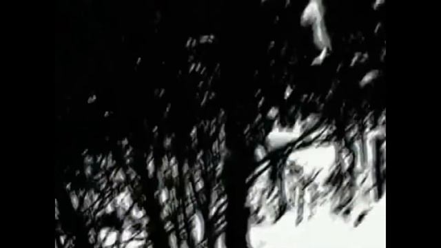 Darkthrone Feat. Anne Veski & Vello Orumets - Transilvanian Hunger