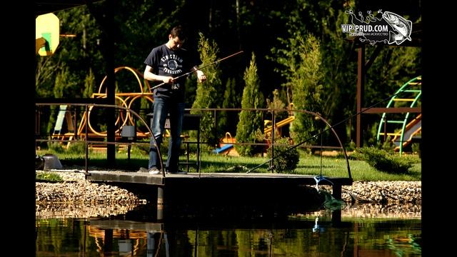 Фото на платной рыбалке май ч.4