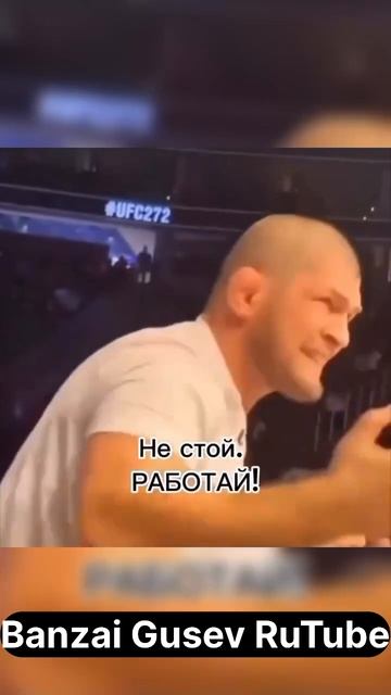 Когда жена японка мотивирует работать. #япония #банзайгусев #мемы #мем #юмор #жена #японка