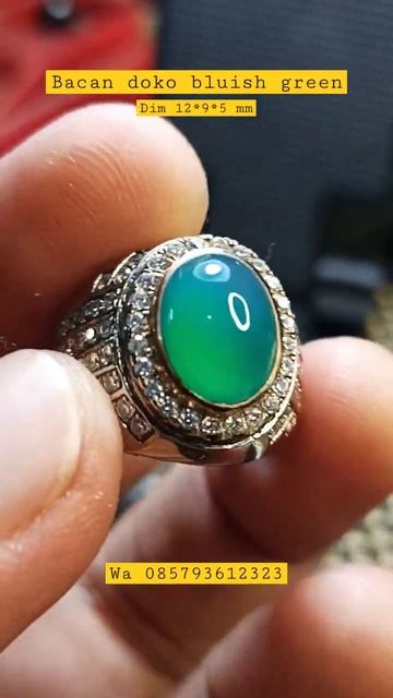BACAN DOKO BLUISH GREEN HQ ‼️