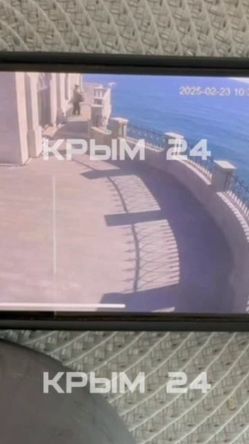 В Ялте из Ласточкиного гнезда неизвестный с обрыва выкинул кошку, жившую там 10 лет...