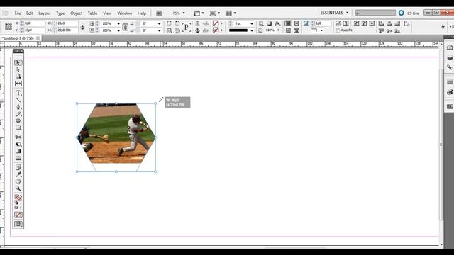 Adobe InDesign: Using the Frame Tools and Shape Tools with Images