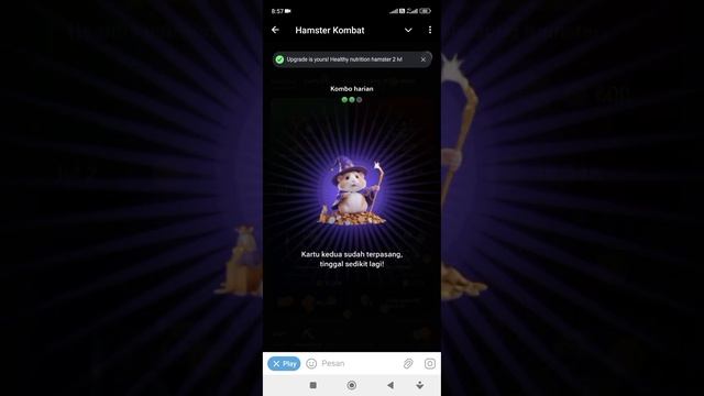 KOMBO HARIAN TERKINI HAMSTER KOMBAT TANGGAL 8 AGUSTUS 2025 @GAmEZ5080-z #hamsterkombat #hamsters