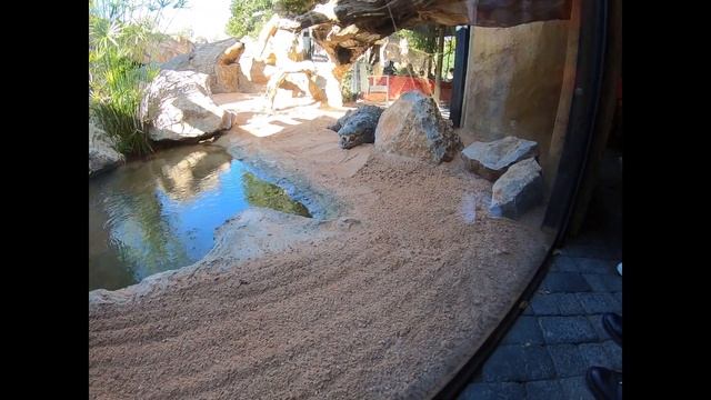 Биопарк Валенсия (Biopark Valencia)