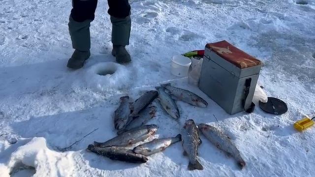 24.02.25 г. Парк отдыха водопад