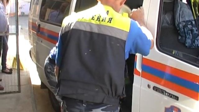 В Волгограде в центре города изловили бездомного страуса