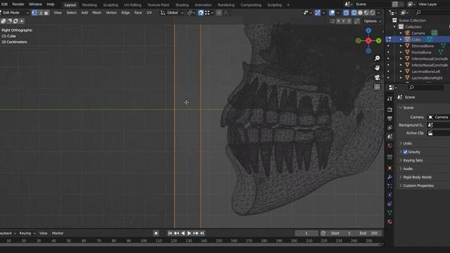 Using Blender  Snap tool to make a box for skull model