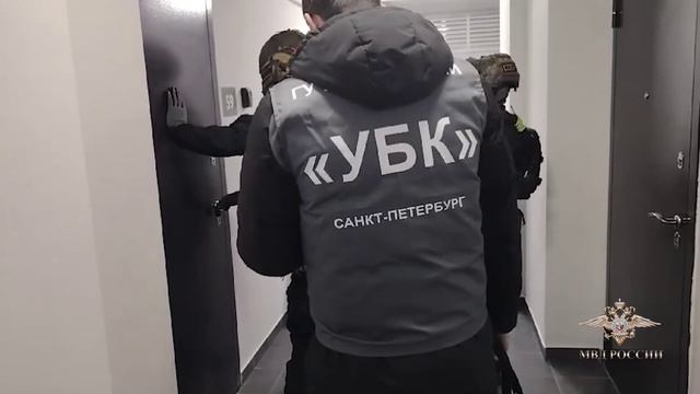 Ирина Волк: В Санкт-Петербурге полицейские задержали подозреваемых во взломах аккаунтов граждан