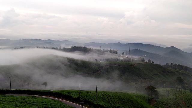Munnar _ part1