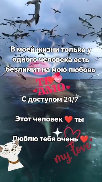 🔴 Любовь, похожая на сон!..❤️🔥🥰❤️❤️❤️💘