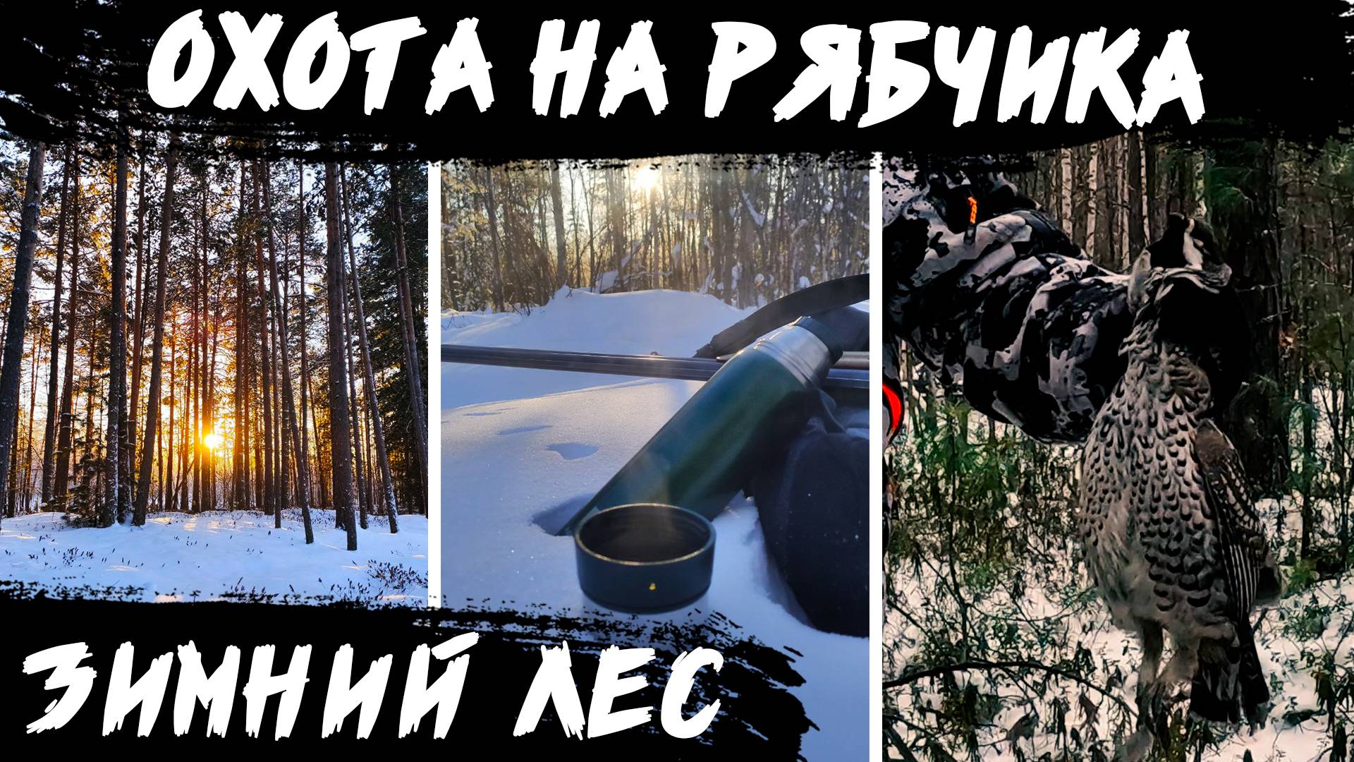 Короткая зимняя охота на рябчика в таежном лесу! (ХМАО, Сургут)