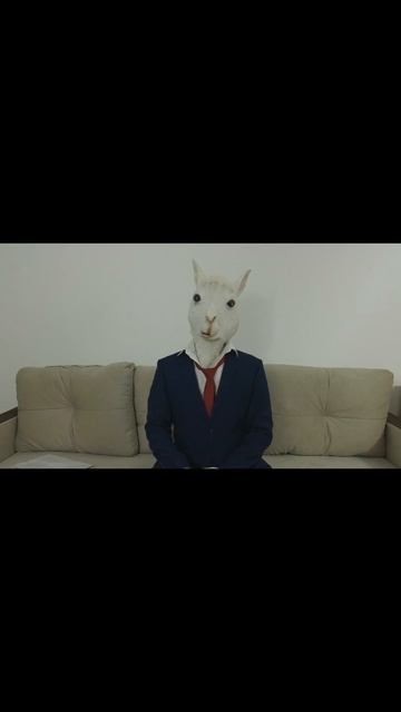 Факты от Альпаки №1  #shorts