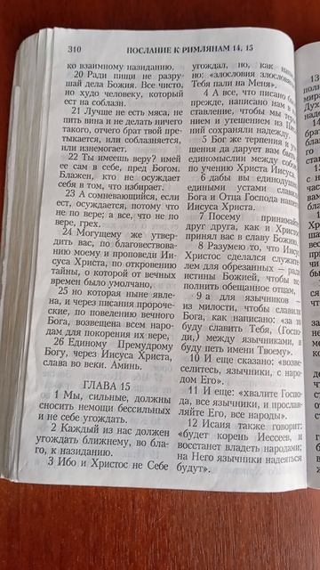 стих посвящается африканским протестантским сестрам моим.