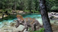 Discovering the Mighty Triceratops An Inside Look at the Life of a Herbivorous Dinosaur