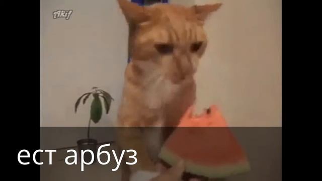 My Edited Video