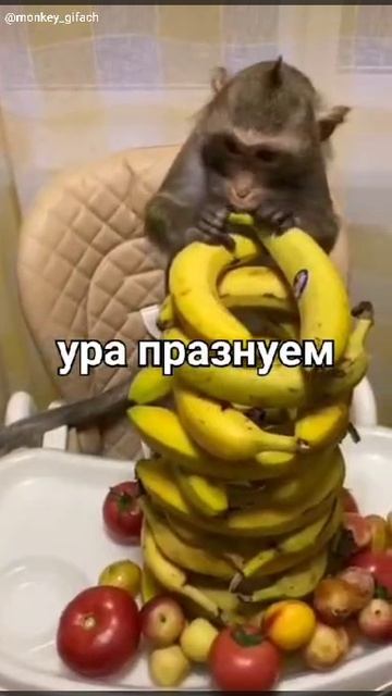 я когда у меня день рождение: