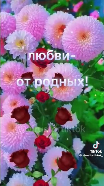 1000001964.mp4