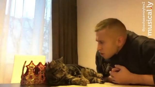Когда у тебя есть кот