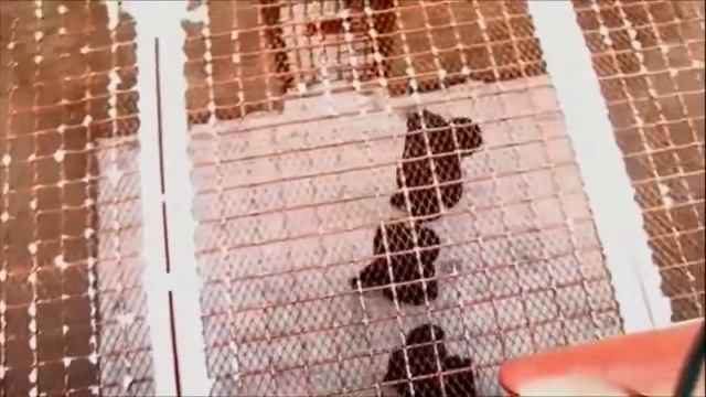 С.Наговицын - Потерянный край