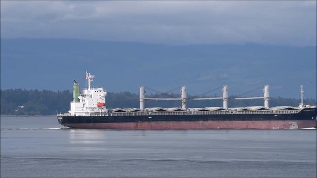 Sapphire Island, cargo ship, 2020