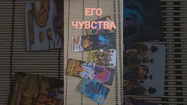 ЕГО ЧУВСТВА