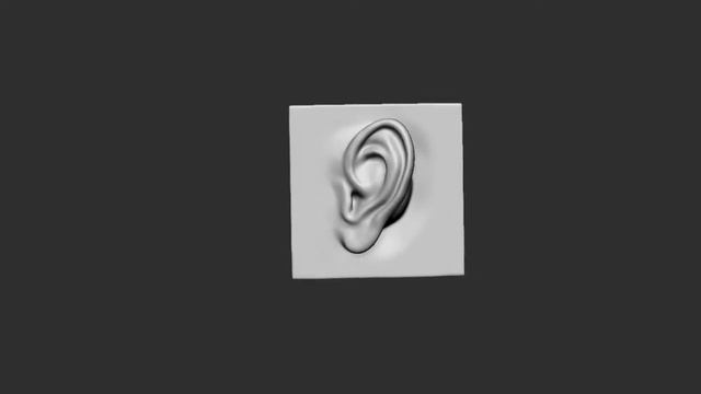 ZBrush Human Anatomy - Ears