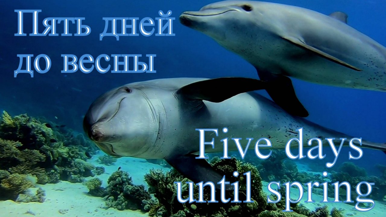 Пять дней до весны