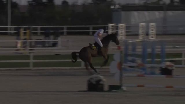 CASPER Z - Carmen Edwards - Bronze 3 - 1,40m - Valencia (02.11.2014)