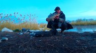 ДИКИЙ ПАРОВОЗ !!! УДОЧКИ В ДУГУ