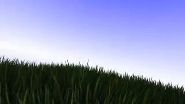 Blender Grass Test