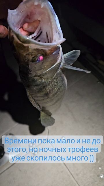 Ночные трофеи на рыбалке с гидом
➤ https://instagram.com/spinningist63