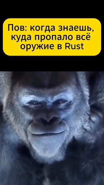 Rust пропало оружие  #rust #раст #растигра #игры