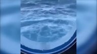 Безопасность путешествий и гарантии качества круизов