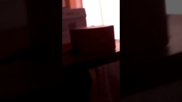 lv_0_20250224103112.mp4