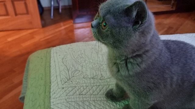 Бильярд-это не шахматы.Сдесь думать надо!