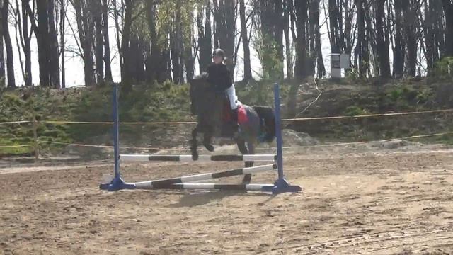SKJ Poland Park - 20140412 Liga Poland Park - wprowadzenie skoki 70 cm