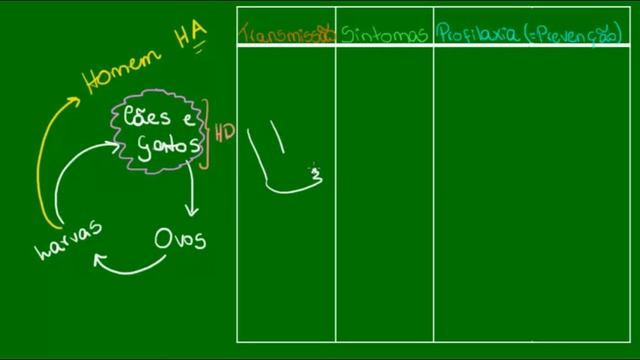 Bicho geográfico - Parasitologia - Biologia