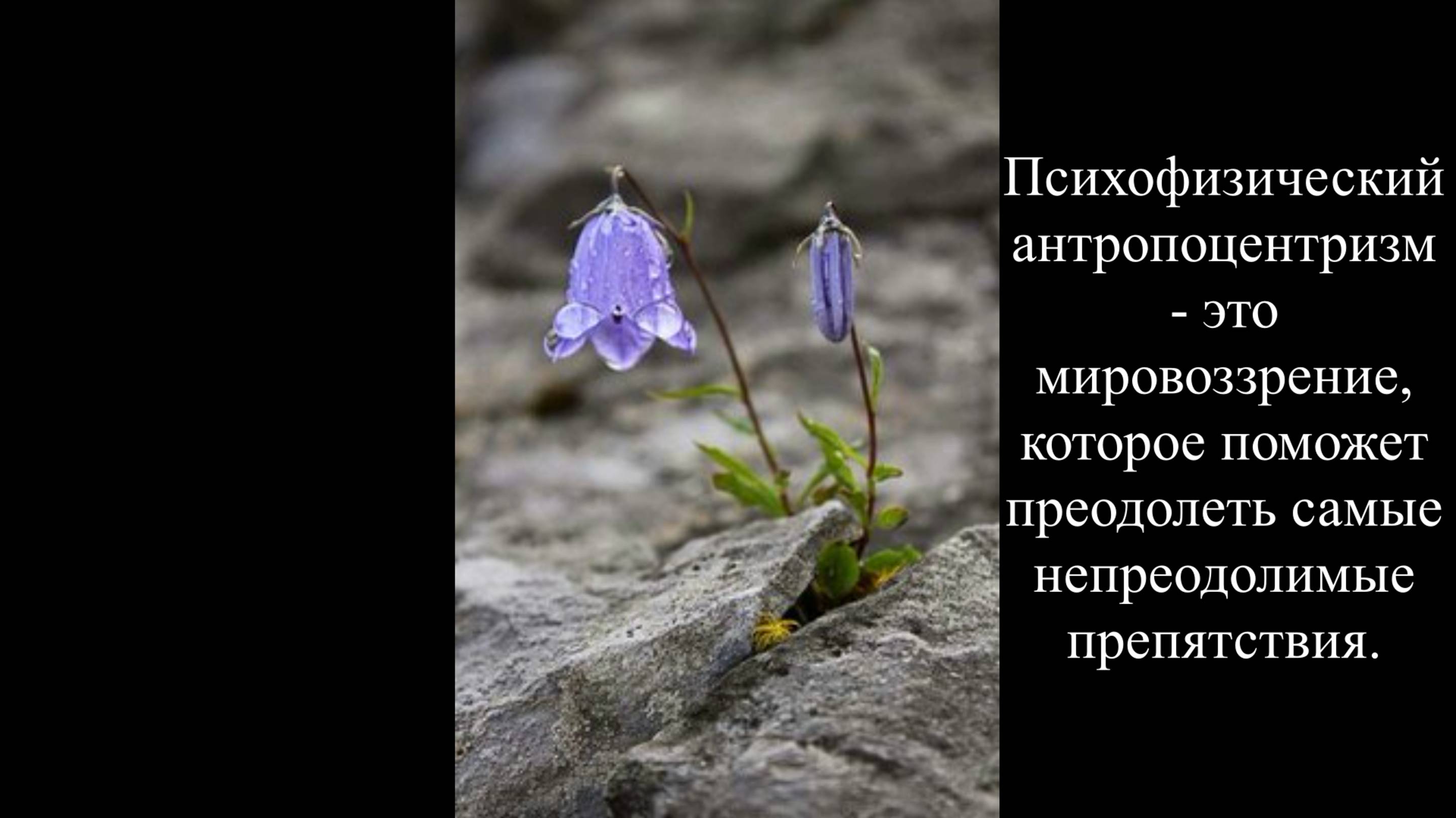 22.02.2025 Пространство Абсолюта - место сборки всего со всем.