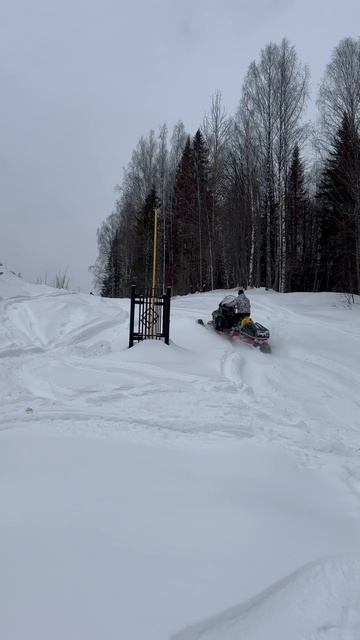 Снегоход aodes SNOWCROSS 1000 wt в гору