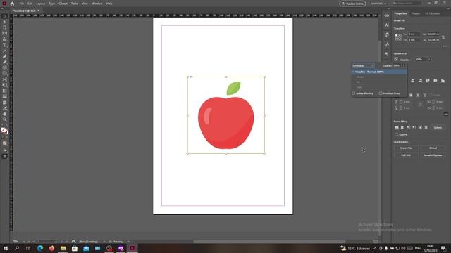 How To Nake Image Black And White Adobe InDesign Tutorial