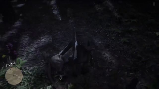 Red Dead Redemption 2 - Perfect Panther Pelt Location