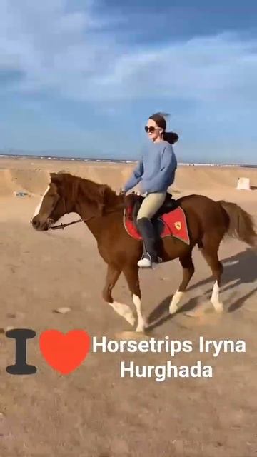 Галоп в пустыне Хургады.  Horse racing in Hurghada. #horsetrips_iryna