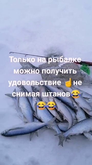 Удовольствие не снимая штанов. Рыбаки поймут