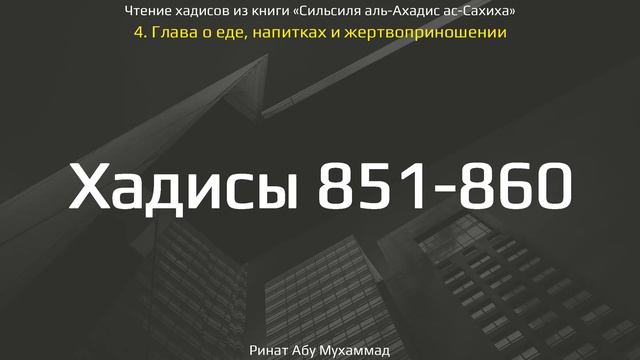 85. Сборник хадисов пророка Мухаммада ﷺ «Cильсиля аль-Ахадис ас-Сахиха» || Ринат Абу Мухаммад