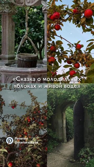 Вайб сказки