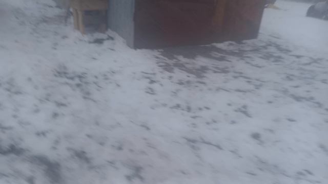 12 февраля 2025 16:15